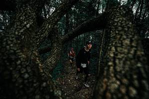 BIB: 
                            <button type="button" onclick="openModal(25691234)" class="btn btn-primary btn-sm float-right btn-popup" data-toggle="modal" data-target=".modal-high-quality">
                        <i class="fas fa-shopping-cart"></i> Add to Cart
                    </button>
                                            <button type="button" onclick="isThisMe(25691234, true)" class="btn btn-success btn-sm float-right btn-popup btn-isme hidden" data-toggle="tooltip" data-placement="bottom" title="นี่คือรูปของคุณใช่ไหม คลิกที่นี่เพื่อเอาเข้าอัลบั้ม">
                        <i class="fas fa-plus"></i> Add to album
                    </button>
                    <button type="button" onclick="isThisMe(25691234, false)" class="btn btn-warning btn-sm float-right btn-popup btn-isnotme hidden">
                        <i class="fas fa-ban"></i> Remove from album
                    </button>